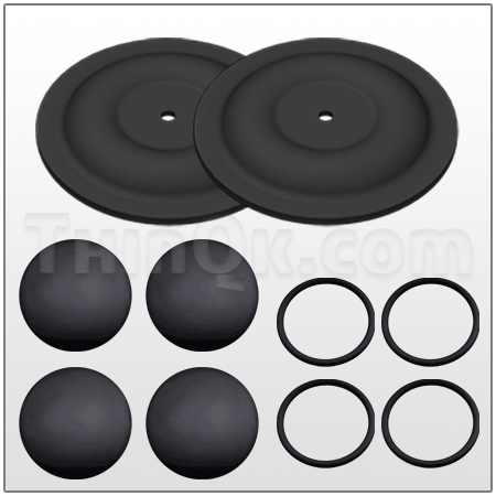 Repair kit (TE5P BN KIT)